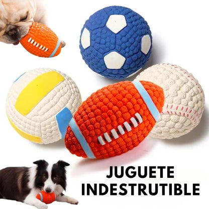 PawPalBall™ juguetes indestructibles 🐶