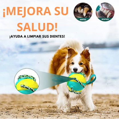 Juguete pelota DiscoPaws™