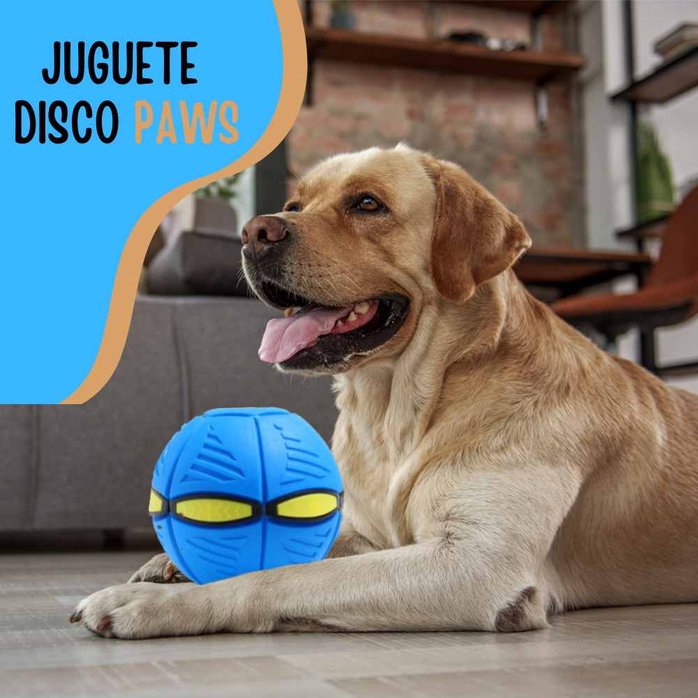 Juguete Disco Paws 🐶