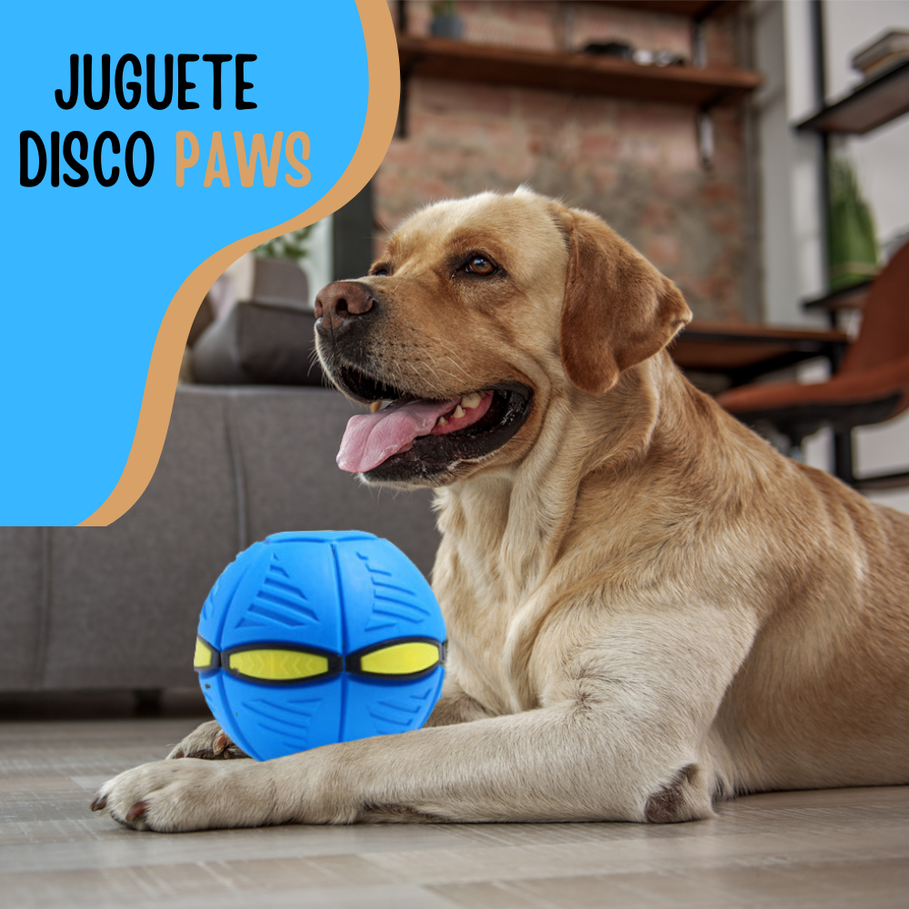 Juguete para perro Frisbee – IL MIO PET